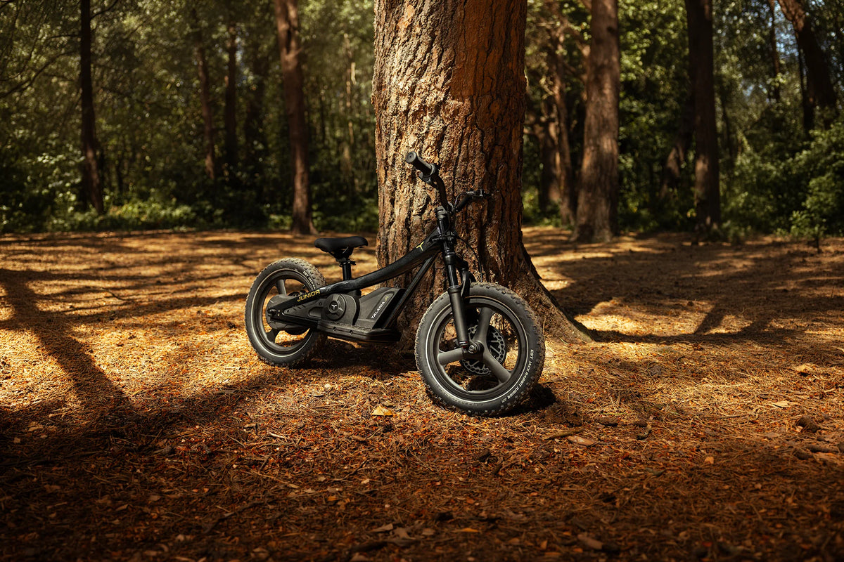 Talaria Electric Dirt Bike Talaria Junior 16
