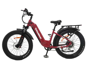 Taubik E-Bike Red Tour 2024