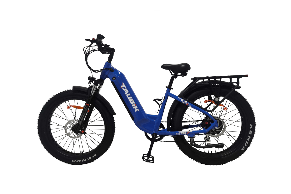 Taubik E-Bike Mauve Tour 2024