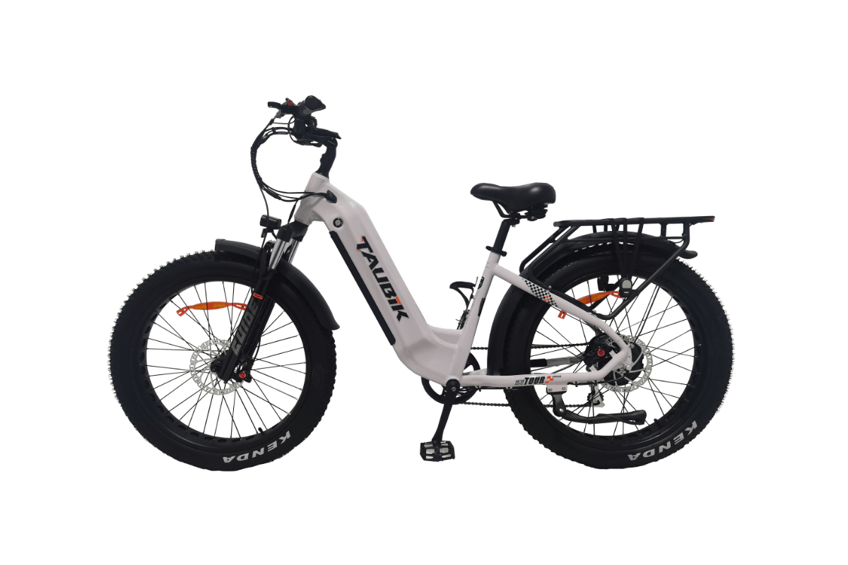 Taubik E-Bike Taupe Tour 2024