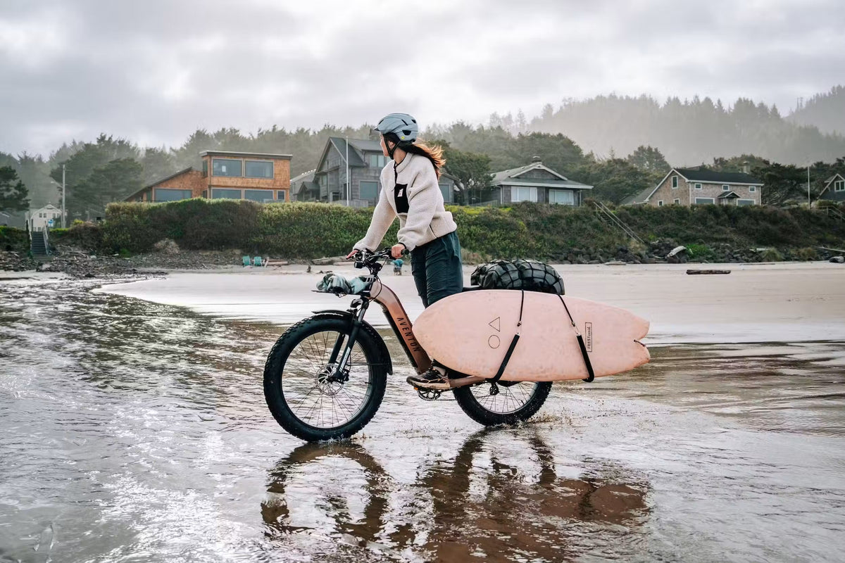 Fat Tire Electric Bikes
