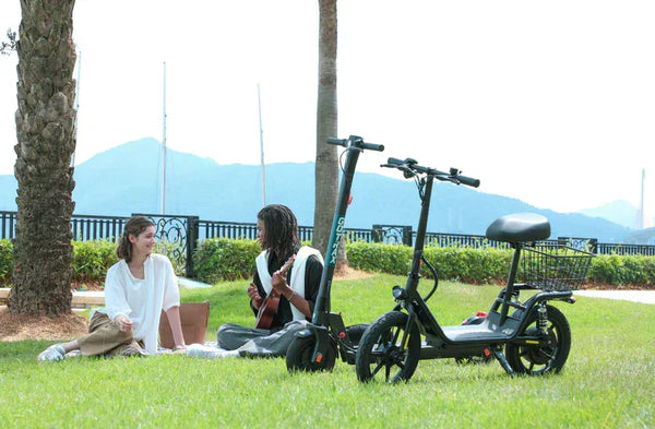 Adult Electric Scooters