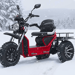 Avvenire Mobility Scooter Avvenire Tectus Scope (2026 Pre-Order)