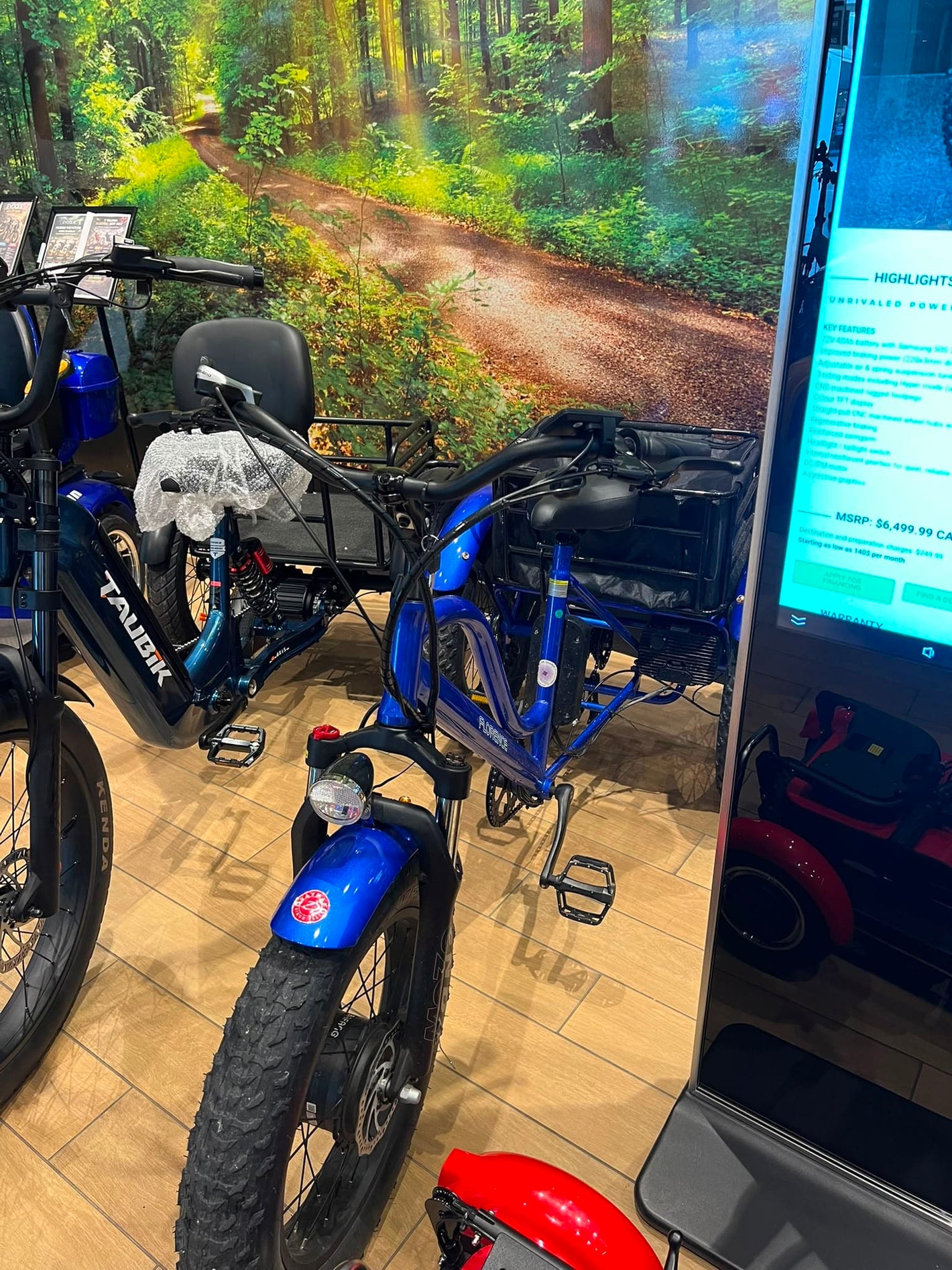 Daymak E-Bike Daymak Florence Fat Tire Trike (Trade In)