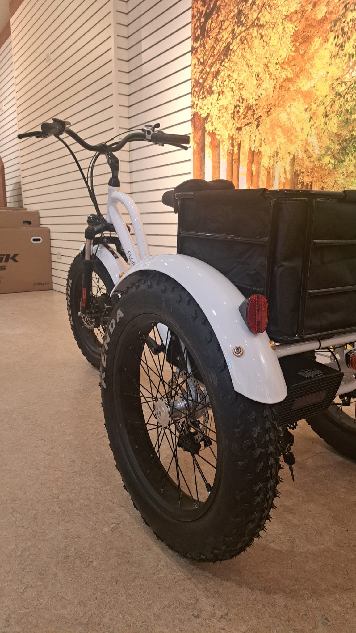 Daymak E-Bike White Daymak Florence Fat Tire Trike (Demo Unit)