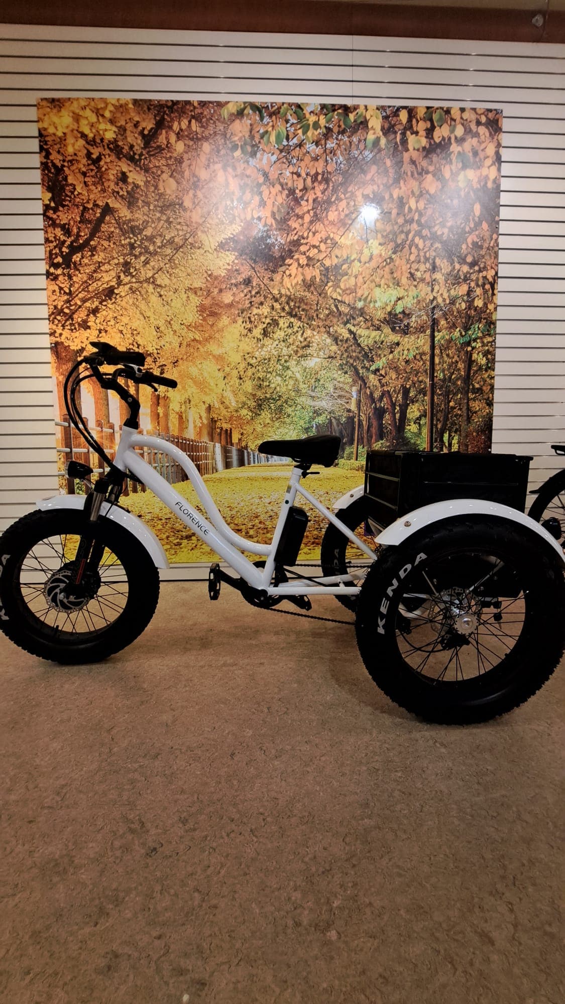 Daymak E-Bike White Daymak Florence Fat Tire Trike (Demo Unit)