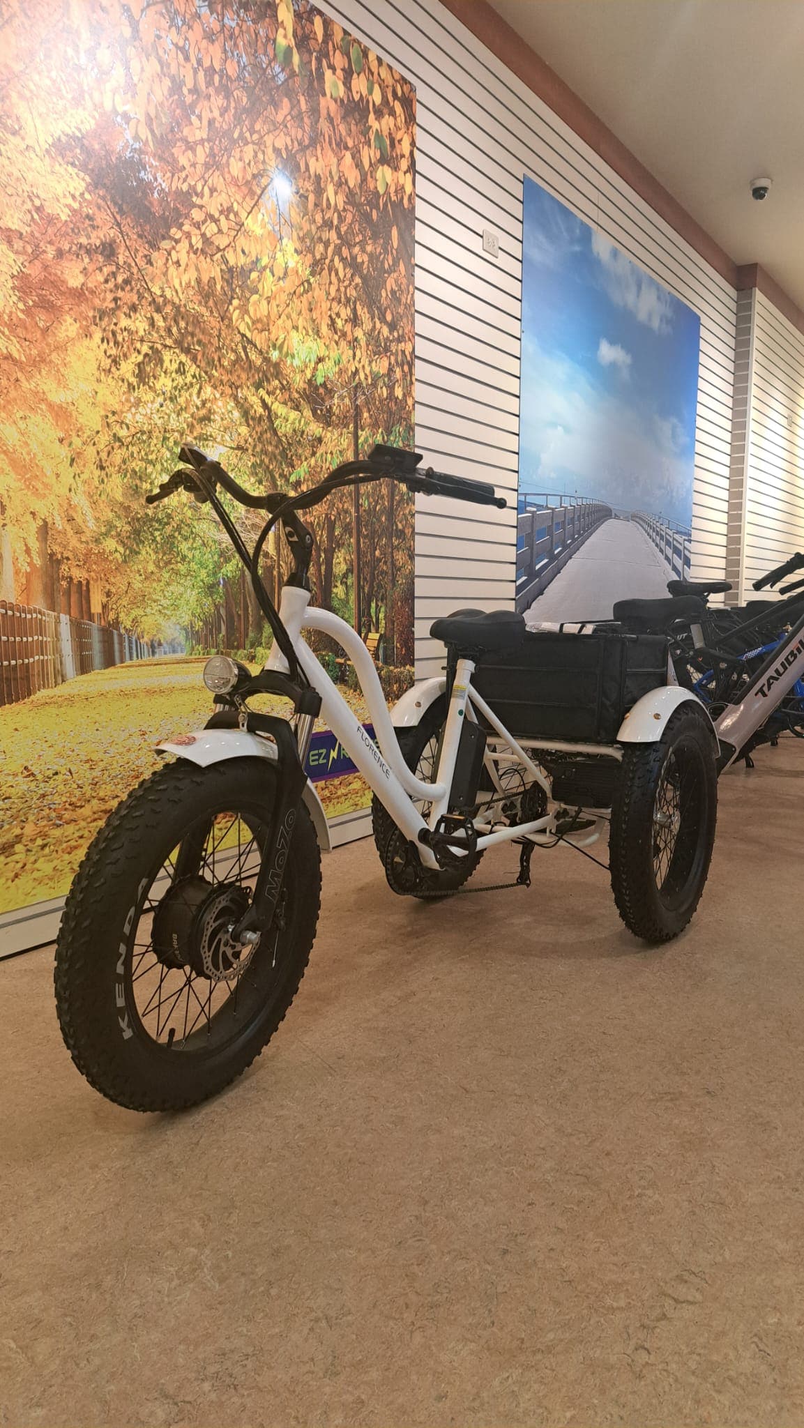 Daymak E-Bike White Daymak Florence Fat Tire Trike (Demo Unit)