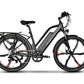 Emmo E-Bicycle Black / 48V 10Ah Lithium Hallo Pro 2.0