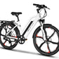 Emmo E-Bicycle Hallo Pro 2.0