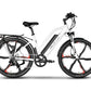 Emmo E-Bicycle White / 48V 10Ah Lithium Hallo Pro 2.0