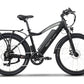 Emmo E-Bike Black / 48V/10Ah Lithium Emmo Monta C2