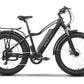 Emmo E-Bike Black / 48V10Ah Lithium E-Wild C2