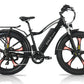 Emmo E-Bike Black / 48V10Ah Lithium E-Wild Pro 2.0