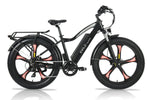 Emmo E-Bike Black / 48V10Ah Lithium E-Wild Pro 2.0