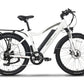 Emmo E-Bike White / 48V/10Ah Lithium Emmo Monta C2