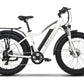 Emmo E-Bike White / 48V10Ah Lithium E-Wild C2