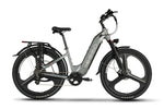 Emmo Electric Bicycle Classic Gray / 48V 15.6Ah Lithium Emmo Pulse Pro