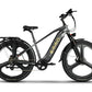 Emmo Electric Bicycle Graphite Gray / 48V 15.6Ah Lithium Emmo Spurt Pro