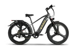Emmo Electric Bicycle Graphite Gray / 48V 15.6Ah Lithium Emmo Spurt Pro
