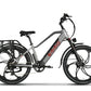 Emmo Electric Bicycle Graphite Gray / 48V 17.5Ah Emmo Trevo Pro