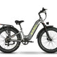 Emmo Electric Bicycle Graphite Gray / Spoke Wheel / 48V 15.6Ah Lithium Emmo Vegar Pro