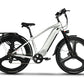 Emmo Electric Bicycle Platinum White / 48V 15.6Ah Lithium Emmo Spurt Pro