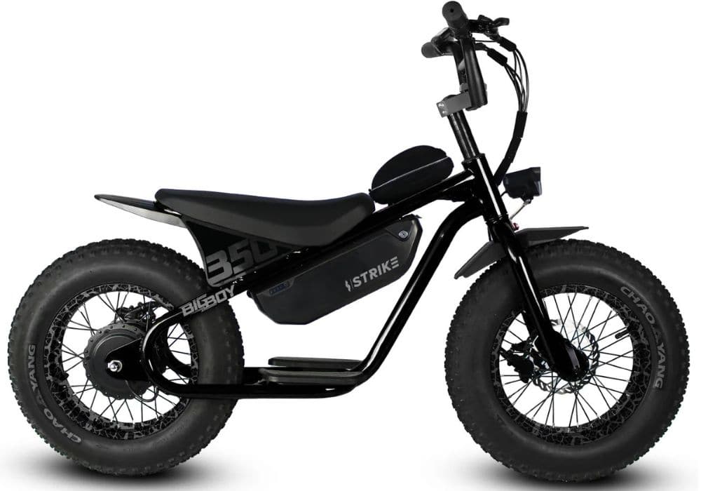 Epic Cycles E-Bike Black Crackle Throne Big Boy