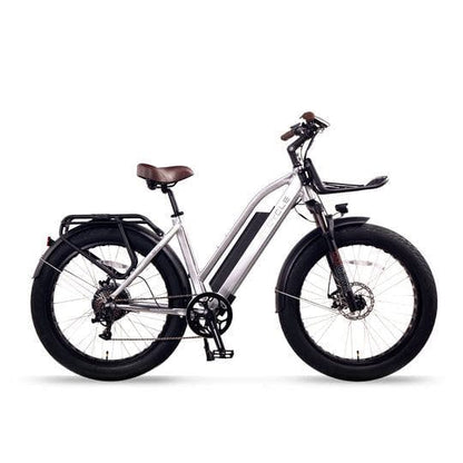 ET Cycle Step-Thru E-Bike ET Cycle T1000