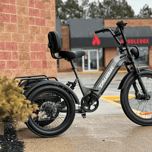 EZ Rides Black Taubik Pivot