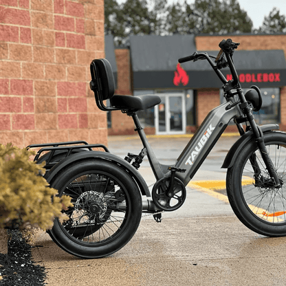 EZ Rides Black Taubik Pivot