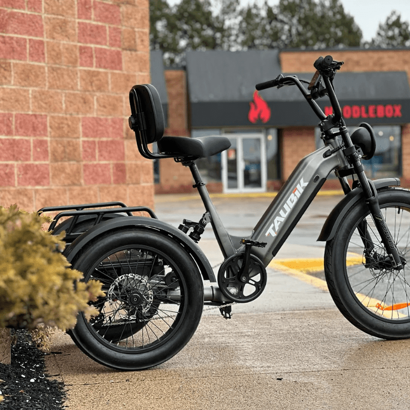 EZ Rides Black Taubik Pivot