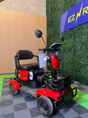 EZ Rides Green Liying Fashin