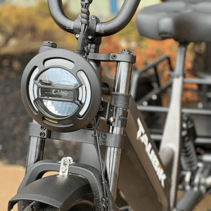 EZ Rides Taubik Pivot