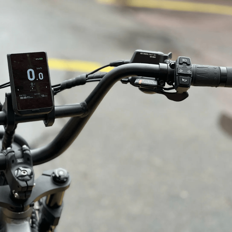 EZ Rides Taubik Pivot