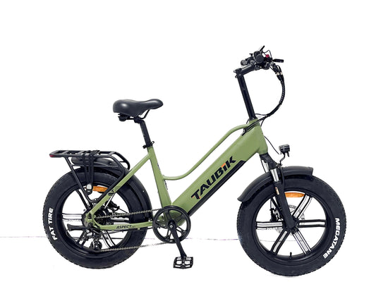 Taubik E-Bike Aspect 2024