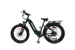 Taubik E-Bike Black Tour 2024