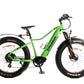 Taubik E-Bike Hi Vis Green Westridge 4.0