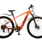 Taubik E-Bike Orange Westridge 2.1