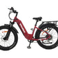 Taubik E-Bike Red Tour 2024