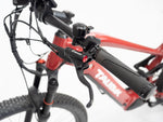 Taubik E-Bike Alps 2024