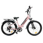 Taubik E-Bike Pink / Taupe Blackburn TL 2023