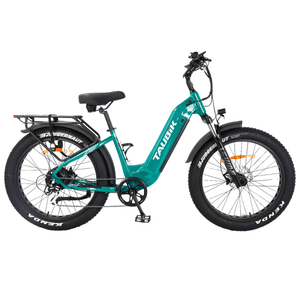 Taubik E-Bike Taubik Tour S 2026