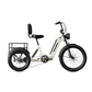 Taubik Electric Bicycle Taubik Axis Trike