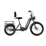 Taubik Electric Bicycle Taubik Axis Trike
