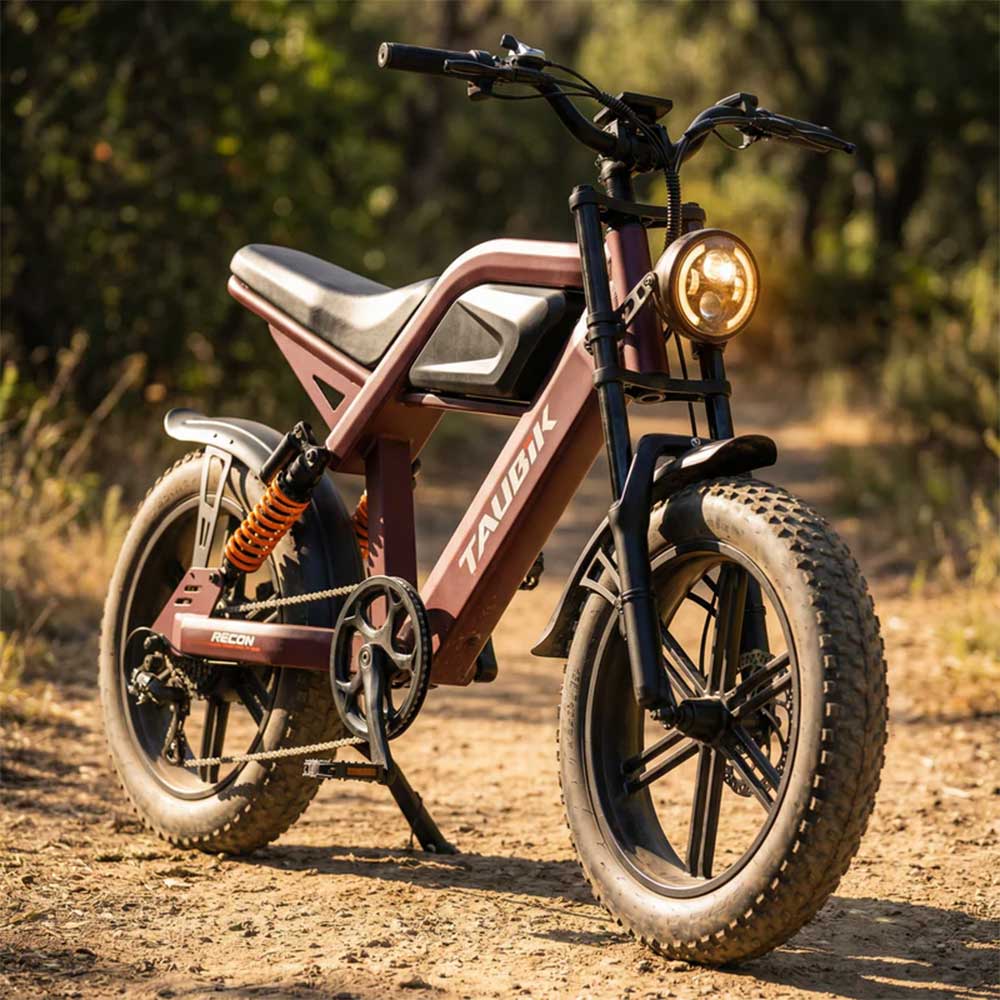 Taubik Electric Bicycle Taubik Recon 2026 Cafe Racer